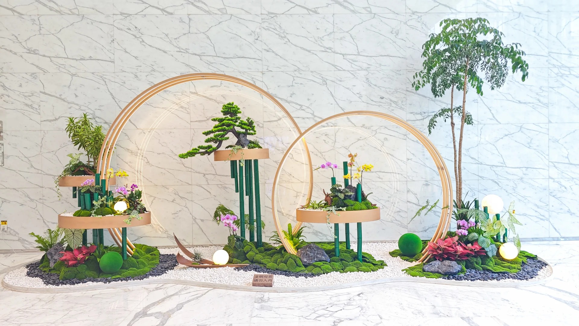 专业海曙花木出租，为您装点别样空间